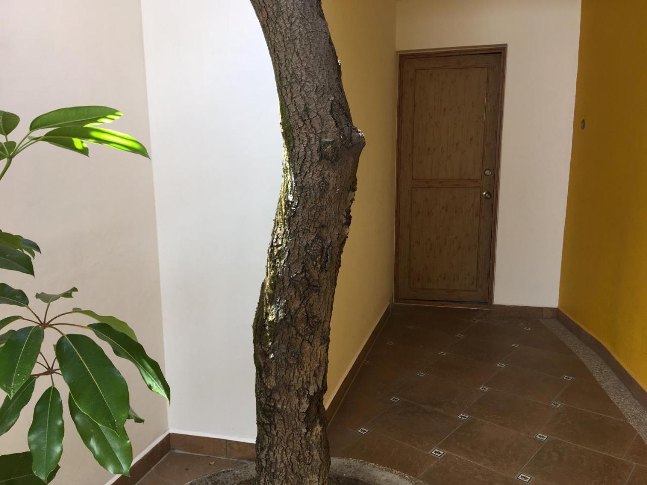 Hotel Casa Cielo *